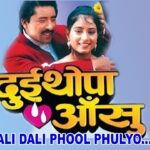 Dali Dali Phool Phulyo Lyrics - Sadhana Sargam