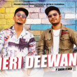Meri Deewani Lyrics - P Sheal Ft. ANX