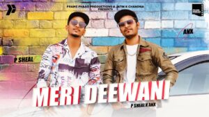 Meri Deewani Lyrics - P Sheal Ft. ANX