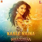Kaale Naina Lyrics - Neeti Mohan, Shadab Faridi & Sudesh Bhosale (Shamshera Movie)