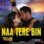 Naa Tere Bin Lyrics - Altamash Faridi (Ek Villain Returns)
