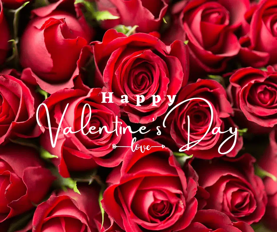 99+ Romantic Valentine's Day Shayari & Status in Hindi 5 Happy Valentine's Day