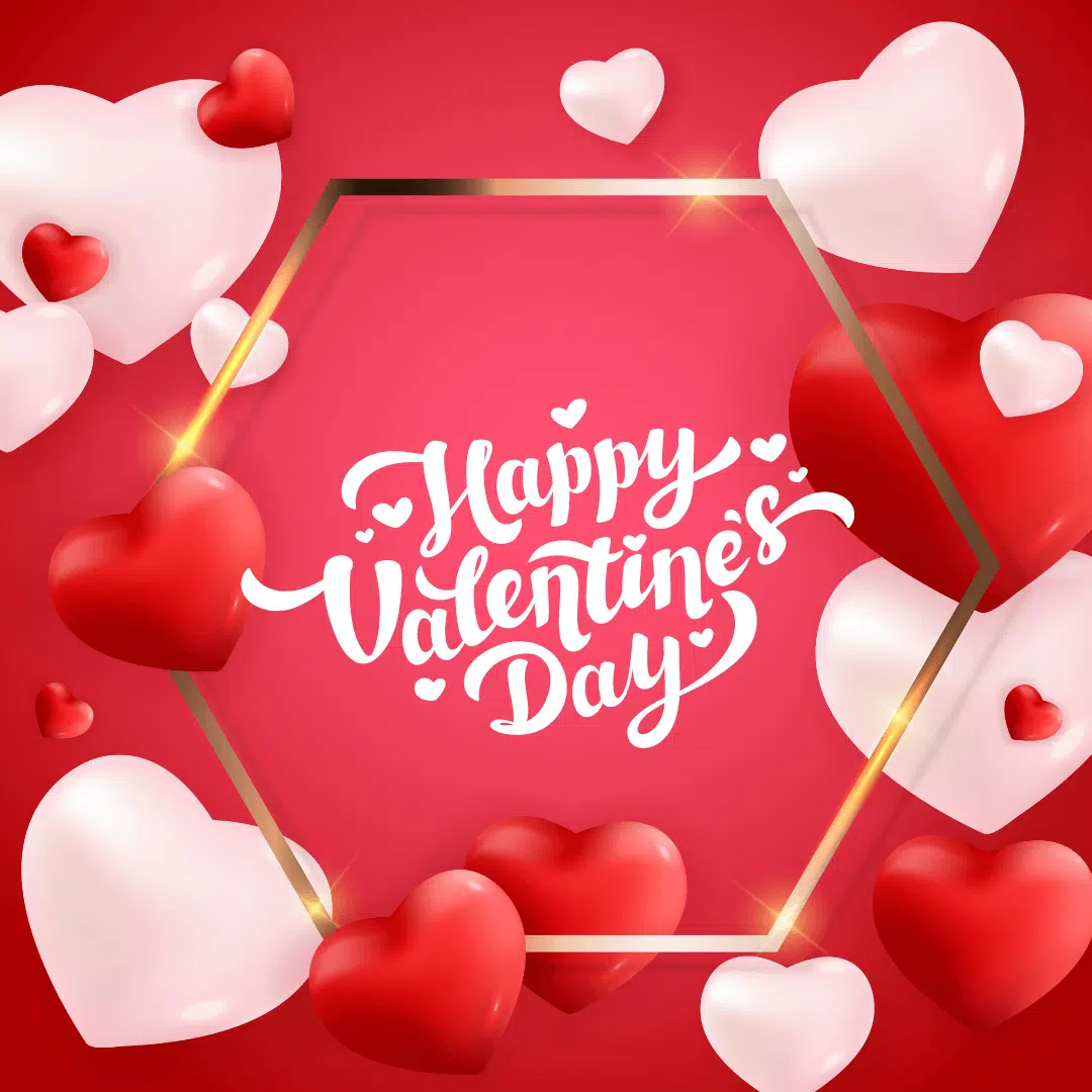 99+ Romantic Valentine's Day Shayari & Status in Hindi 2 Happy Valentine's Day