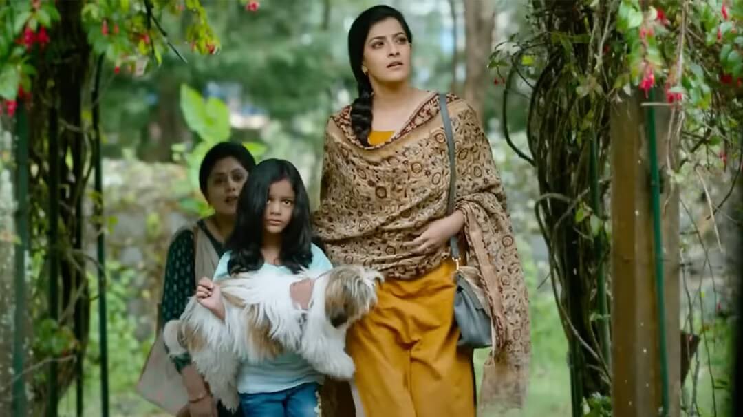 15 Best Telugu Movies of 2024 (So Far): Where to Watch Them 9 Sabari Movie Poster